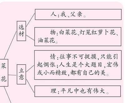 矮牵牛花叶病的症状及防治方法（如何保护矮牵牛花免受叶病侵害）