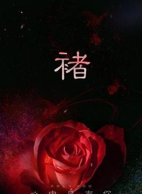 黑色玫瑰花语（黑色玫瑰花语解读及象征意义分析）