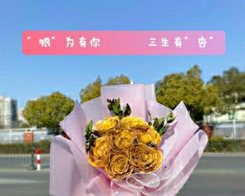 银杏叶的寓意——生命与希望的象征（探寻银杏叶所蕴含的美好寓意与象征意义）