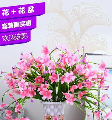 玫瑰花的品种及含义（探索不同玫瑰花品种的花语）