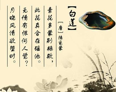 揭秘丁香花语的深刻含义（从“思念”到“忠诚”）