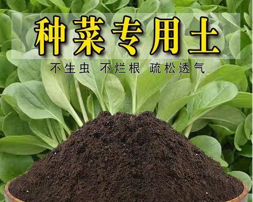 苦瓜盆栽用多大的盆合适？如何选择合适的盆栽尺寸？