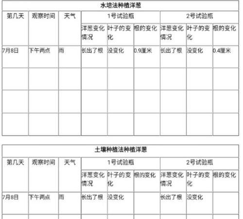 苦苣菜什么时候种植最好？种植方法有哪些常见问题？