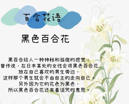 四爱伪百合什么意思呀网络用语？四爱伪百合的含义是什么？