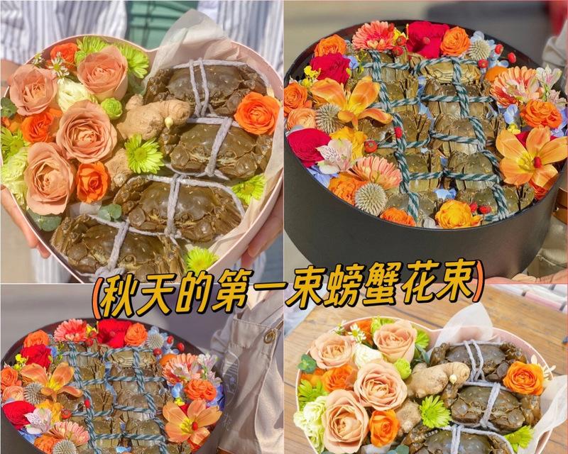 螃蟹菊花的寓意是什么？花语有何深意？