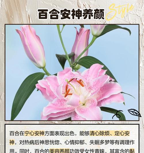 “百合开荤”在网络用语中是什么意思？它通常如何被使用？