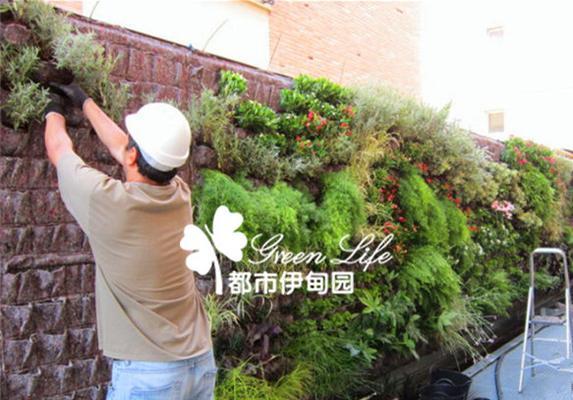 植物墙怎么浇水？如何正确地为植物墙浇水？