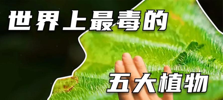 带毒伤的植物如何识别和处理？