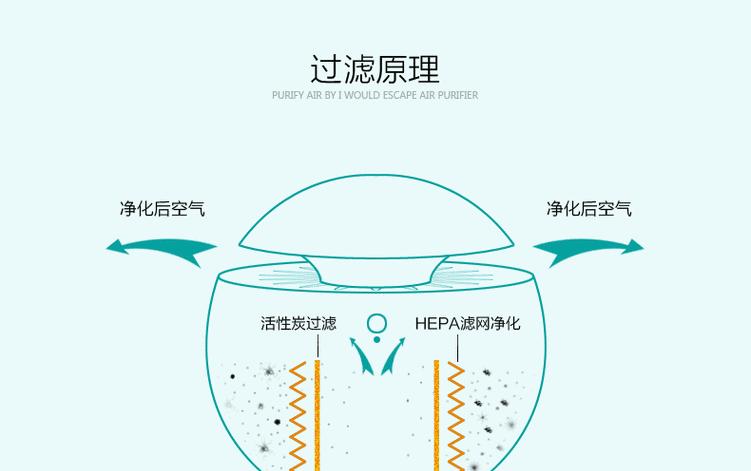 哪些植物具有净化空气的功能？它们的作用原理是什么？