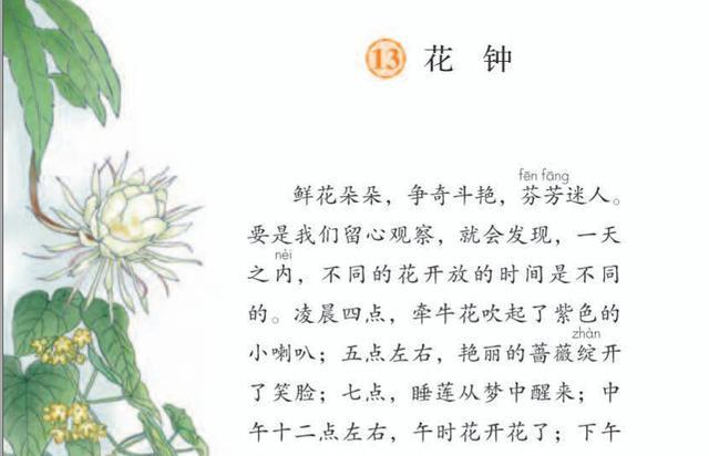 花卉的正确读音是什么？如何正确发音花卉名称？