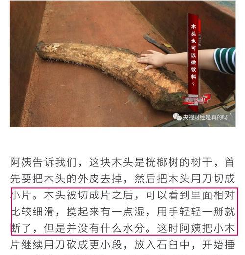 植物妈妈在植物学中指的是什么？它有什么特别之处？