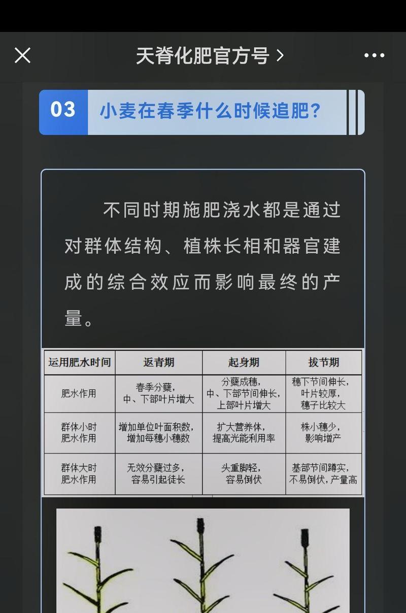 植物施肥需要哪些元素？怎样施肥更有效？