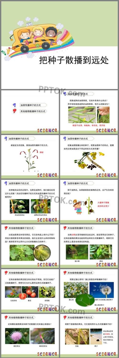 植物传播种子还有哪些？它们是如何进行的？