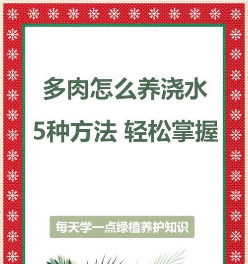 低矮室外植物的养护方法是什么？