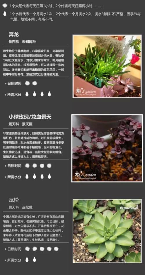 什么植物结果有毒？如何安全地识别和处理？