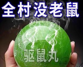 什么植物驱老鼠？家庭中有哪些天然驱鼠植物？