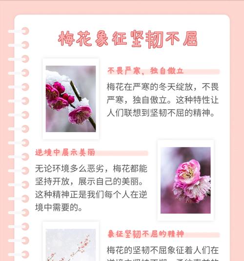 乌羽玉梅花树苗的花语有何特别？