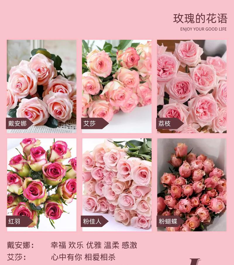 不能相爱时送自己什么玫瑰花？花语有何含义？